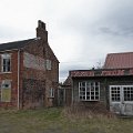 Tavern Bland